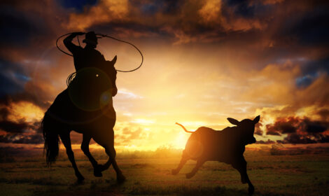 Calf Roping Like a Champion Image